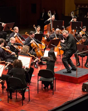 Babes Against The Machine