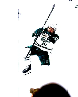 ECAC Hockey Tournament: Dartmouth Big Green Hockey vs. Colgate Raiders Hockey sports event