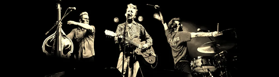 Stray Cats