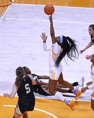 Tennessee Lady Vols vs. Colgate Raiders