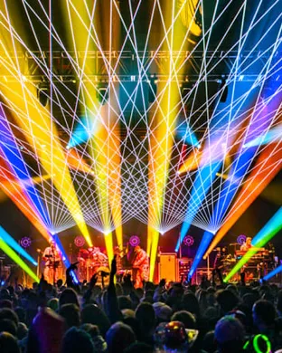 The Disco Biscuits