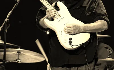 Walter Trout